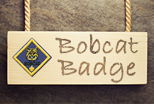Bobcat Badge — Sam Houston Area Council